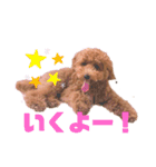 ★モコのスタンプ★（個別スタンプ：10）