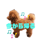 ★モコのスタンプ★（個別スタンプ：11）
