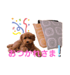 ★モコのスタンプ★（個別スタンプ：14）