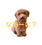 ★モコのスタンプ★（個別スタンプ：28）
