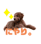 ★モコのスタンプ★（個別スタンプ：30）