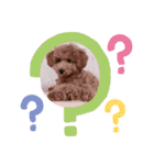 ★モコのスタンプ★（個別スタンプ：34）