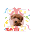 ★モコのスタンプ★（個別スタンプ：35）