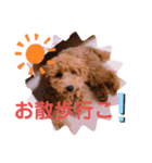 ★モコのスタンプ★（個別スタンプ：39）