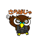 きたじぃ（個別スタンプ：8）
