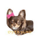 chako★2（個別スタンプ：2）