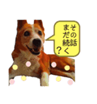 チャッピースタンプ♪（個別スタンプ：2）