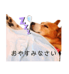 チャッピースタンプ♪（個別スタンプ：4）