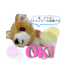 チャッピースタンプ♪（個別スタンプ：14）