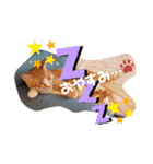 茶トラのケンタ率いる猫ちゃん's（個別スタンプ：3）