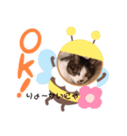 茶トラのケンタ率いる猫ちゃん's（個別スタンプ：5）