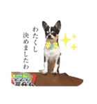 マールスタンプ3（個別スタンプ：1）