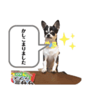 マールスタンプ3（個別スタンプ：2）