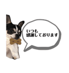 マールスタンプ3（個別スタンプ：4）