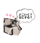 マールスタンプ3（個別スタンプ：20）