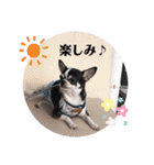マールスタンプ3（個別スタンプ：21）