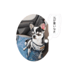 マールスタンプ3（個別スタンプ：23）