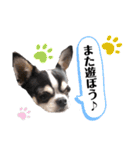 マールスタンプ3（個別スタンプ：27）