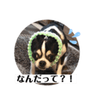 マールスタンプ3（個別スタンプ：30）