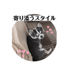 マールスタンプ3（個別スタンプ：32）