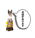 マールスタンプ3（個別スタンプ：34）