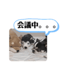 マールスタンプ3（個別スタンプ：36）