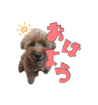 かわいい凛さん（個別スタンプ：1）