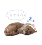 かわいい凛さん（個別スタンプ：2）