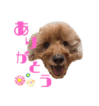 かわいい凛さん（個別スタンプ：4）