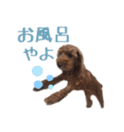 かわいい凛さん（個別スタンプ：9）