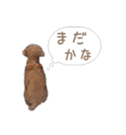かわいい凛さん（個別スタンプ：12）