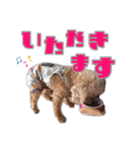 かわいい凛さん（個別スタンプ：13）