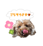 かわいい凛さん（個別スタンプ：14）