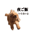 かわいい凛さん（個別スタンプ：15）