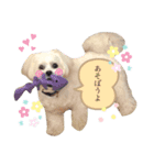 らふ らふ すたんぷ（個別スタンプ：3）