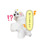 らふ らふ すたんぷ（個別スタンプ：4）