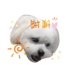 らふ らふ すたんぷ（個別スタンプ：5）