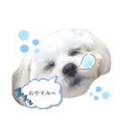 らふ らふ すたんぷ（個別スタンプ：6）