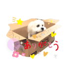 らふ らふ すたんぷ（個別スタンプ：8）