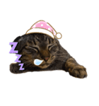 可愛い猫のティーちゃん（個別スタンプ：9）