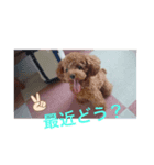 ゴンのひとこと（個別スタンプ：3）
