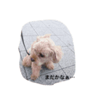 ゴンのひとこと（個別スタンプ：6）