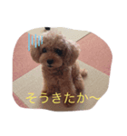 ゴンのひとこと（個別スタンプ：7）