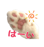 むぎとホップ【ノルちゃん＆メインクーン】（個別スタンプ：5）