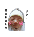 ボク、かいとちゃん1（個別スタンプ：14）