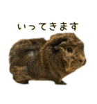 たわし様1（個別スタンプ：38）