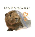 たわし様1（個別スタンプ：39）