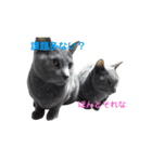 課題に追われる猫（個別スタンプ：4）