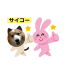 コーギー犬スタンプmoko②（個別スタンプ：4）