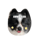 ぼく、諭吉。（個別スタンプ：10）